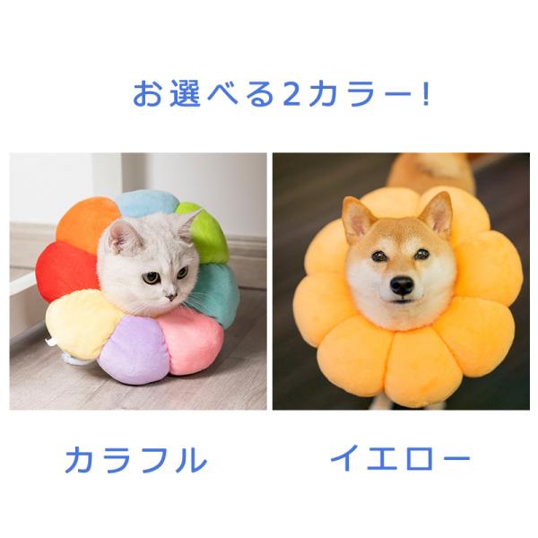 即日発送】エリザベスカラー ソフトタイプ 猫用 猫用品 猫グッズ 犬用