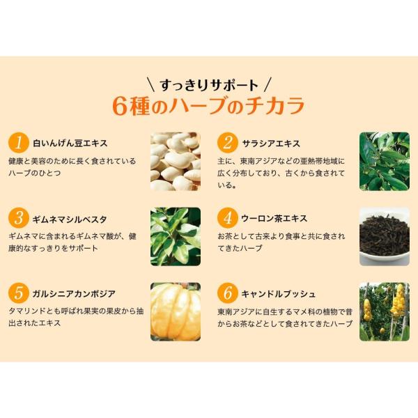 3倍ダイエット Svelty 糖质分解三倍酵母菌分解酵素56粒- Weee!