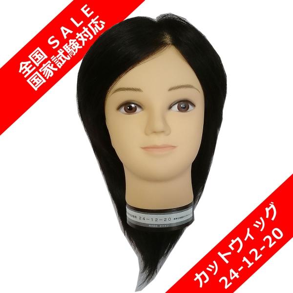 国家試験 本番用 カットウィッグ 国家試験 ｶｯﾄｳｨｯｸﾞ ﾋﾞｭｰﾗｯｸｽ 02-20-19 |