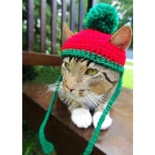 ニット帽 帽子 ぼうし ニットキャップ ペット用 ネコ用 猫用