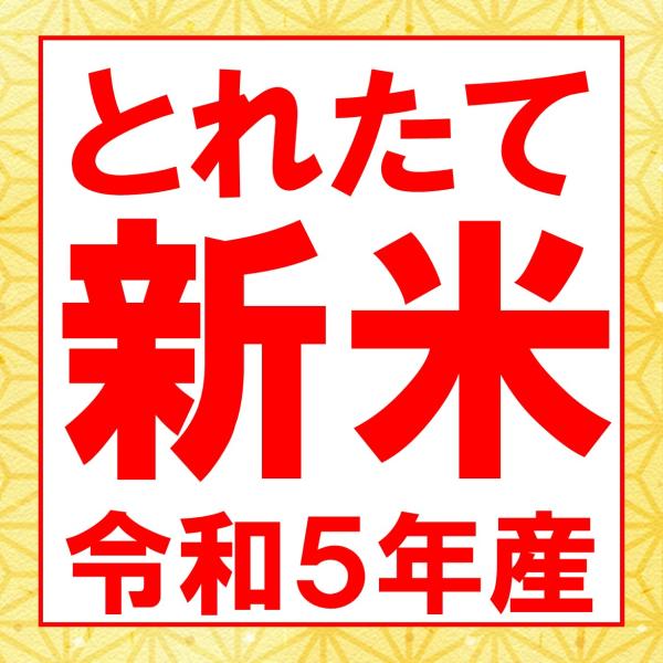 令和３年産 新潟県産 コシヒカリ 玄米30kg うまい米 米専門 みのりや