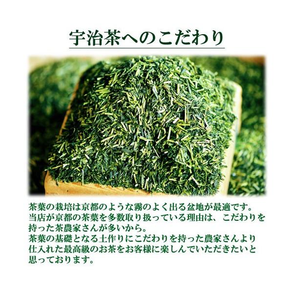 ギフト高級玉露高級煎茶「松」 2本セット進物贈り物プレゼント/【Buyee
