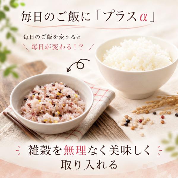十六穀ごはん （25g×22包） 550g 雑穀 雑穀米 雑穀まい 美味しい
