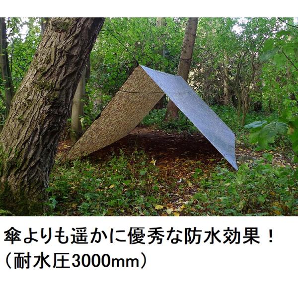 DD HAMMOCKS ハンモックとDD TARPタープマルチカム柄-