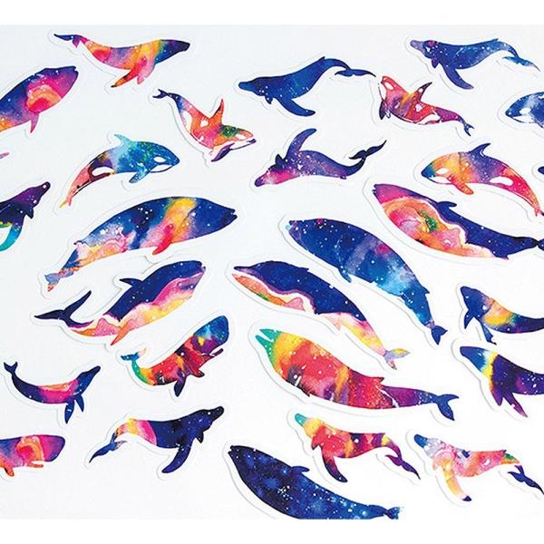 しおり ブックマーク ブックマーカー いるか 鯨 くじら シャチ