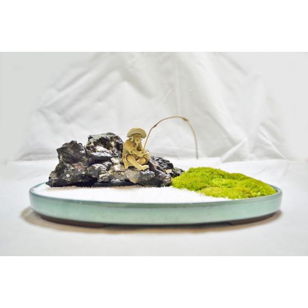 竜眼石 石付素材 盆栽 龍眼石(竜眼石) -1 盆栽石付 山野草石付 - メルカリ