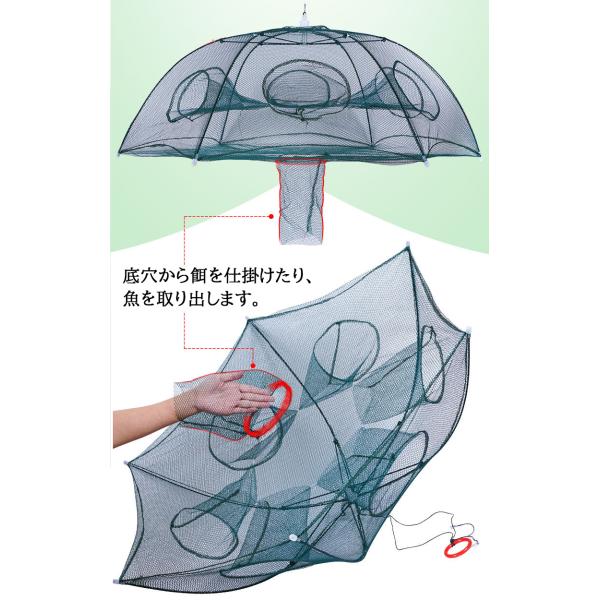 釣武者T-プロジェクト等底物ツールセット