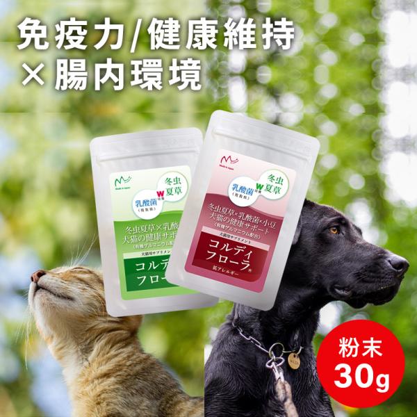 コルディM 30g　犬猫小動物用栄養補助食品 Amazon.co.jp: コルディ M 30g 犬 猫 免疫力 サプリ 国産