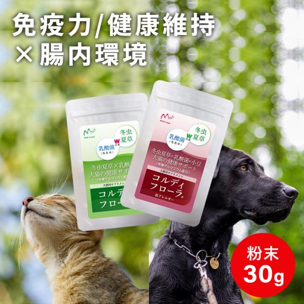 犬猫用栄養補助食品 フローラシンク 憎き 売買されたオークション情報 落札价格 【au payマーケット】の商品情報をアーカイブ公開