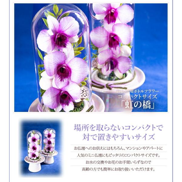 小型 お仏壇専用Sサイズ 国産ボトルフラワー 『森のグラスブーケ 「虹の橋」』 お供え・仏花に枯れない洋ランギフト<br>お供え お彼岸 お供え 花  /【Buyee】 Buyee - Japanese Proxy Service | Buy from Japan!