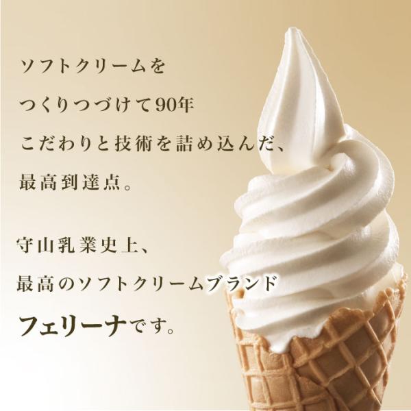 公式ストア 最大10%クーポン配布中 フェリーナ 1000ml 6本入 業務用