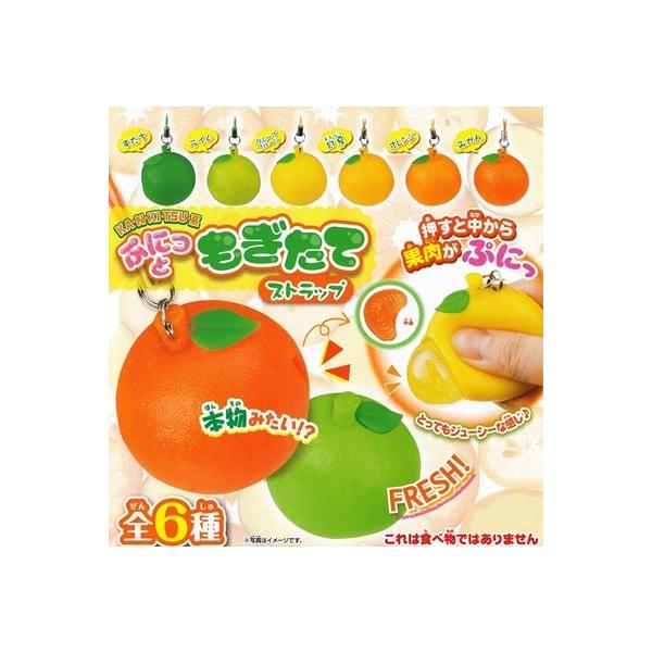 スクイーズ みかん 食品サンプル｜柑橘系 フルーツ ぷにっともぎたて