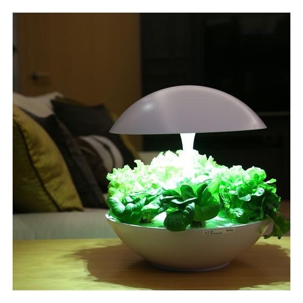 水耕栽培キット 灯菜 アカリーナ Akarina01 OMA01 MotoM 楽天市場】水耕栽培キット 灯菜 アカリーナ Akarina01 OMA01