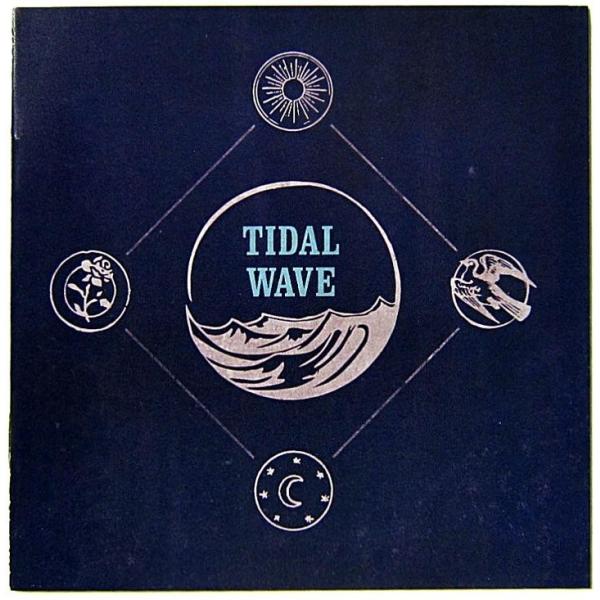 中古】 TAKING BACK SUNDAY テイキング・バック・サンデイ ／ TIDAL WAVE〔CD〕 /【Buyee】 Buyee -  Japanese Proxy Service | Buy from Japan! bot-online