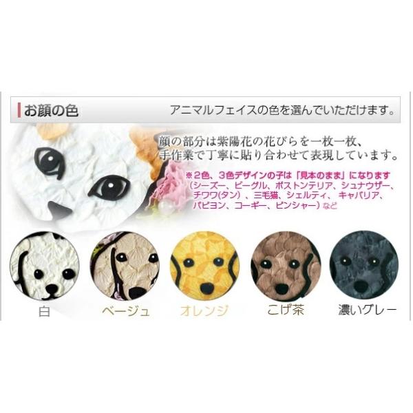 アニマルキャンディ プリザーブドフラワー 母の日 オーダーメイド 犬