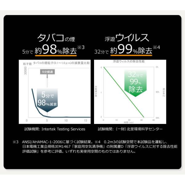 空気清浄機 小型 携帯 首掛け式 エアー・テイマー Z マイナスイオン