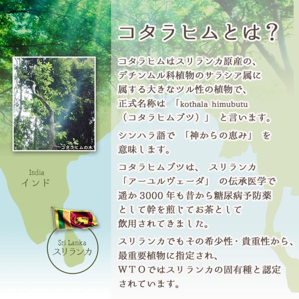 コタラヒム / コタラヒムブツ / サラシア