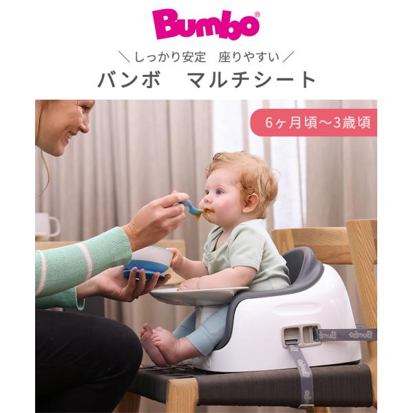 バンボ Bumbo マルチシート 3点式座席ベルト 大人用イス固定ベルト付き