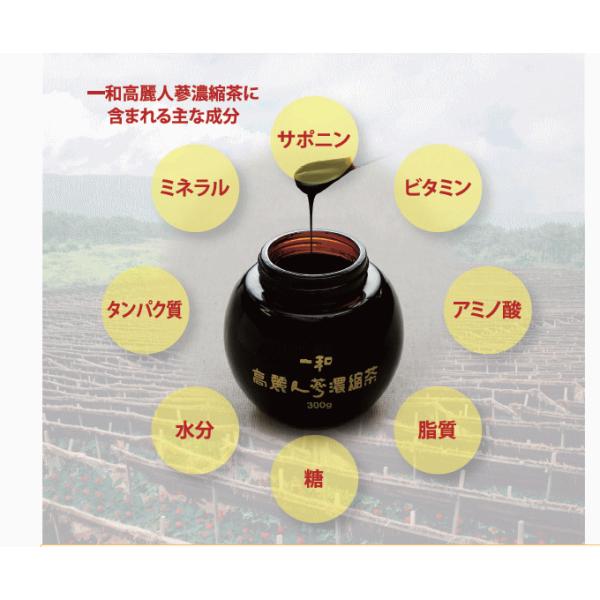 高麗人参 濃縮エキス 300g 一和高麗人参濃縮液 /【Buyee】 Buyee