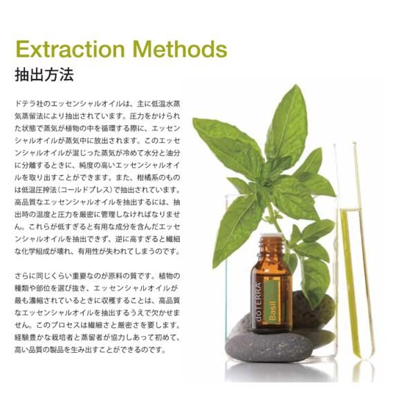 ドテラ doTERRA オレンジ(ワイルドオレンジ) 15 ml アロマオイル エッセンシャルオイル 精油 オンガード ブレンドオイル  /【Buyee】 Buyee - Japanese Proxy Service | Buy from Japan!