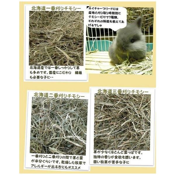 カナダ産 チモシー 2番刈/二番刈り 1kg 牧草、うさぎ、モルモット