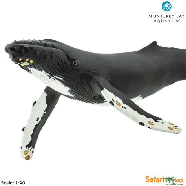 ザトウクジラ　シュライヒ　フィギュア　廃盤モデル 美品◾️廃盤品□シュライヒ ザトウクジラ(仔) - メルカリ