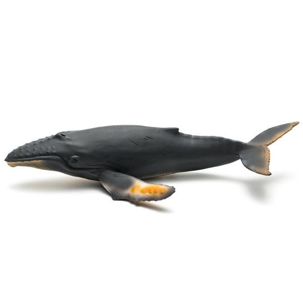 コレクタ CollectA ザトウクジラ 鯨 フィギュア 88347 /【Buyee