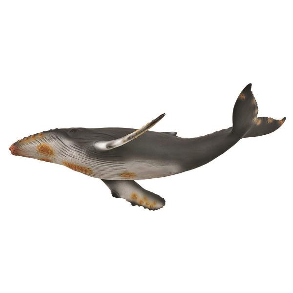コレクタ CollectA ザトウクジラ 鯨 フィギュア 88347 /【Buyee