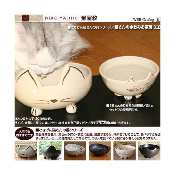 猫主さま専用ページ 楽天市場】＼初心者さんでも安心♪／ 猫 ケージ スターター
