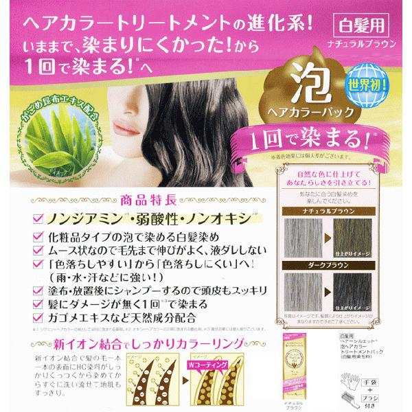 白髪染め 泡カラー ヘアーシルエット ナチュラルブラウン 泡ヘアカラートリートメントパック 80g メール便 送料無料 /【Buyee】