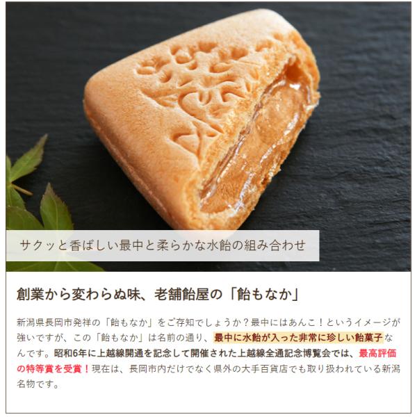 新潟長岡名物 飴もなか 10個入/和菓子 最中/長命堂飴舗/ギフトに