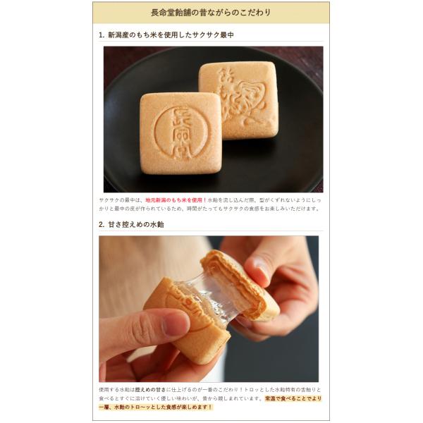 新潟長岡名物 飴もなか 10個入/和菓子 最中/長命堂飴舗/ギフトに