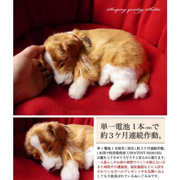 シェルティ コリー ぬいぐるみ コリー シェルティ ぬいぐるみ 中型