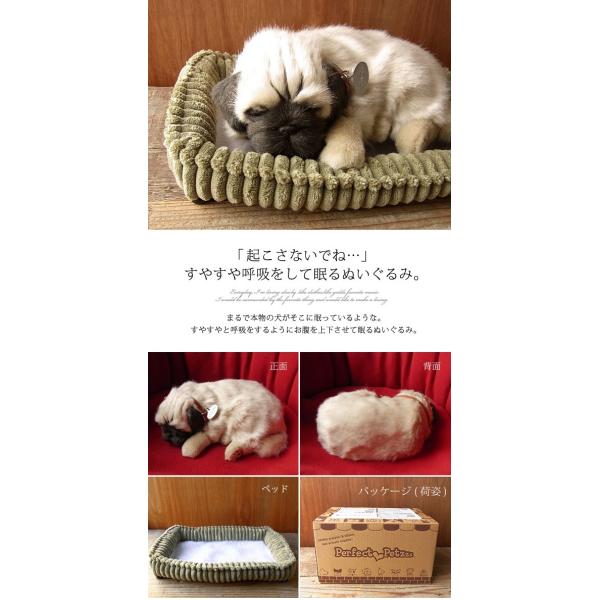 ニニアンドキノ パーフェクトペット (小サイズ) パグ (フォーン