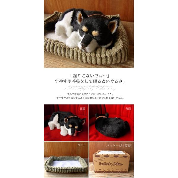 ニニアンドキノ パーフェクトペット (小サイズ) 柴犬 (黒) ぬいぐるみ