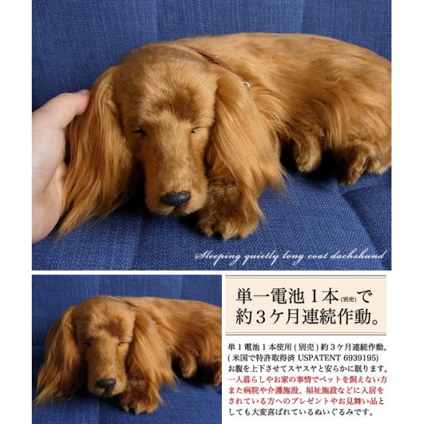 ニニアンドキノ パーフェクトペット (大サイズ) ダックス ロング (レッド) ぬいぐるみ 犬 いぬ イヌ リアル 本物 そっくり ダックスフンド  ダックスフント 雑貨 /【Buyee】