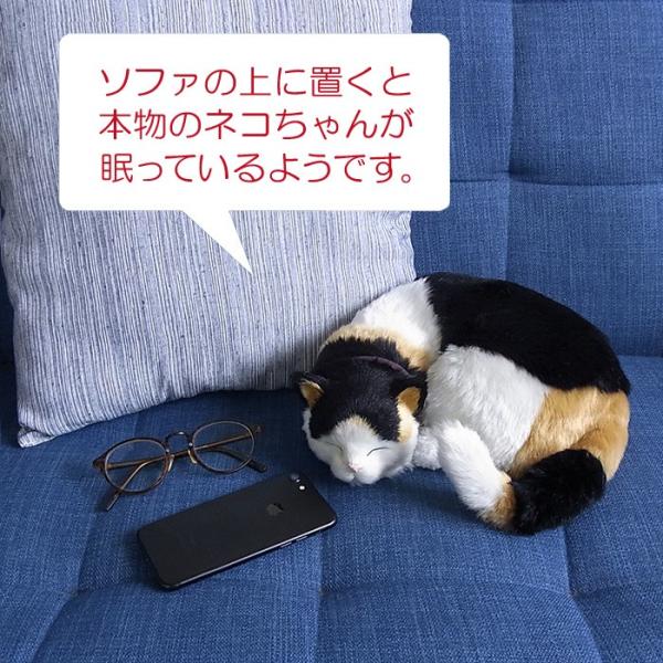 三毛猫 ぬいぐるみ perfect petzzz Amazon.co.jp: ニニアンドキノ パーフェクトペット (大サイズ