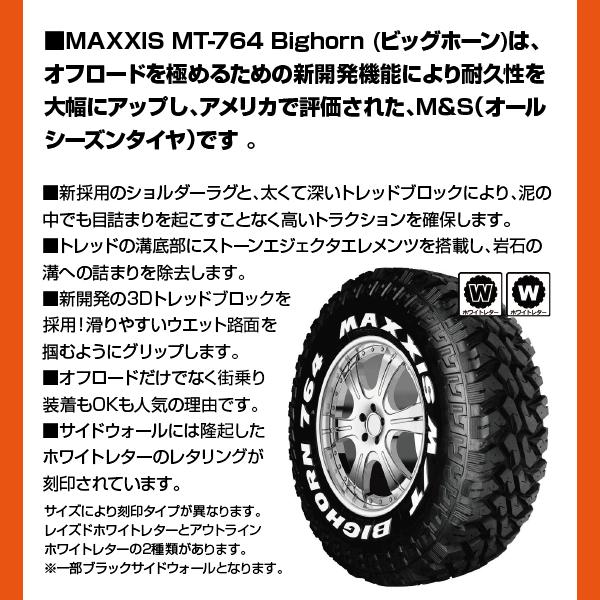 ROUND MOUNTAIN Mさま　オーダー品 EXPERIENCE FORM M #WHITE/GRAY [AL0A85NT1201]｜ALTRA – moderate