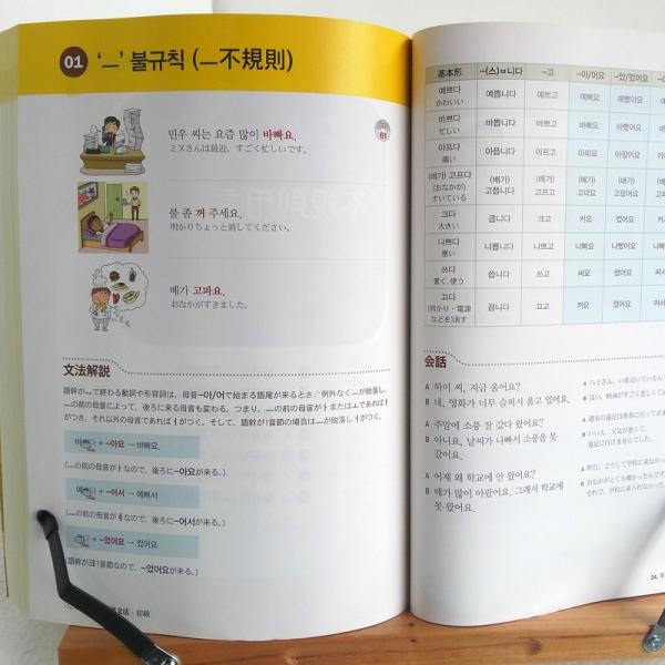 韓国語の書籍実用韓国語文法- 初級(日本語版) [本＋CDなし] Korean