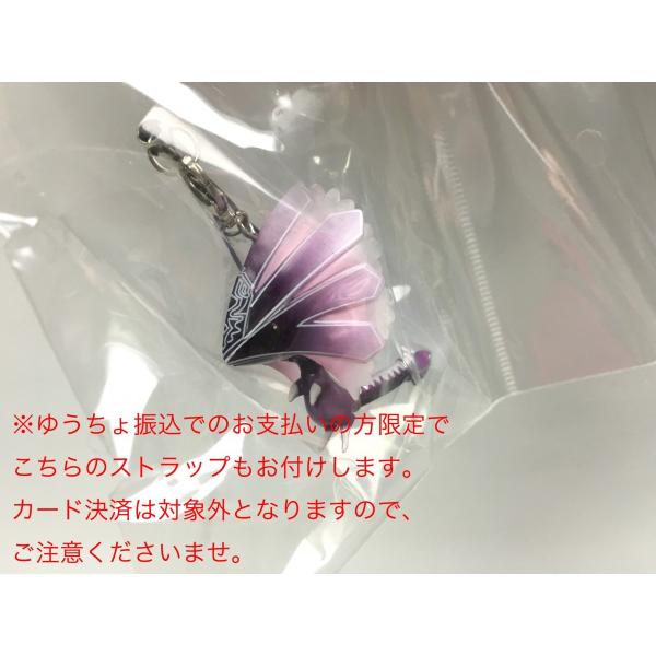 コトブキヤショップ限定 特典付 シャイニング・レゾナンス
