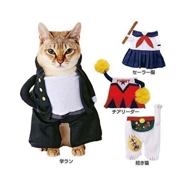 猫用変身着ぐるみウェア ペティオ (TC) ペット用 猫 服 キャット