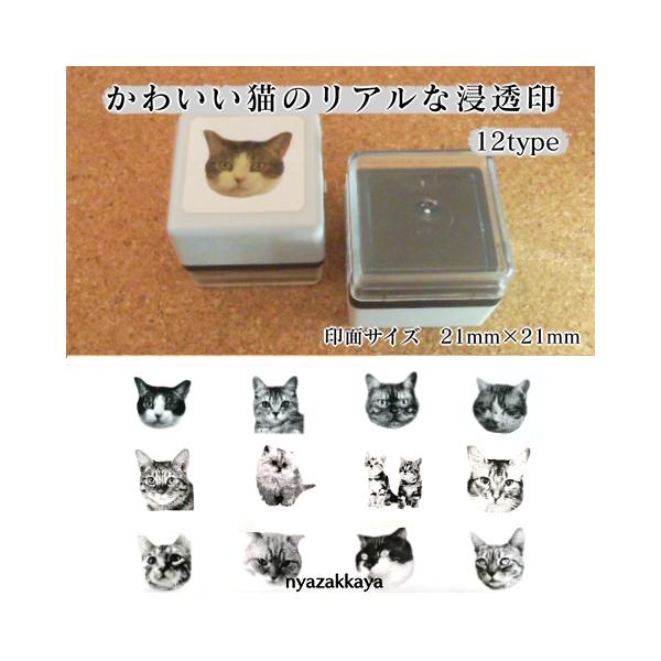 猫 はんこ スタンプ リアルフォトスタンプ 猫雑貨 かわいい 浸透印