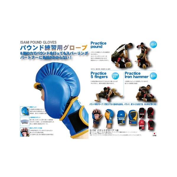 ISAMI パウンドグローブ （ISAMI（イサミ） パウンドグローブ IS
