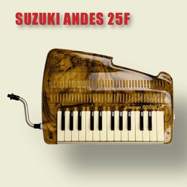スズキ アンデス SUZUKI ANDES 25F ベッコウ柄 限定300台 在庫有り