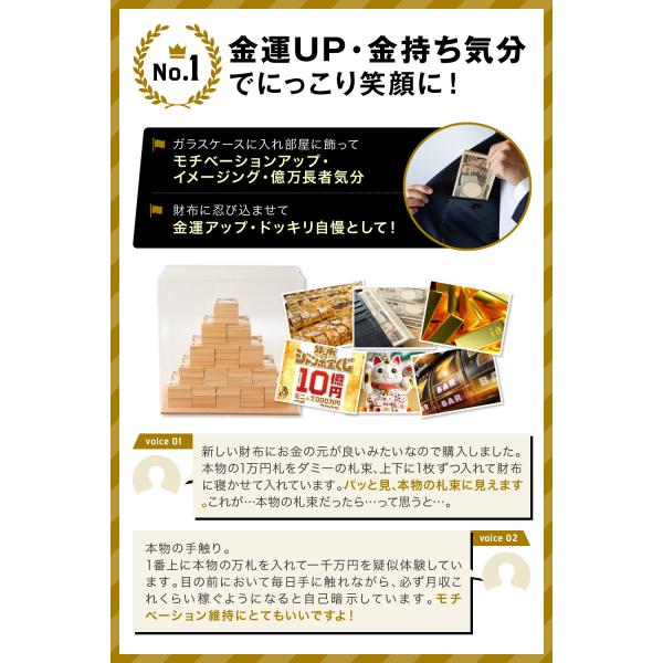 １億円 100万円札束 アルミケース付き 100束 ダミー札束 D 金運アップ