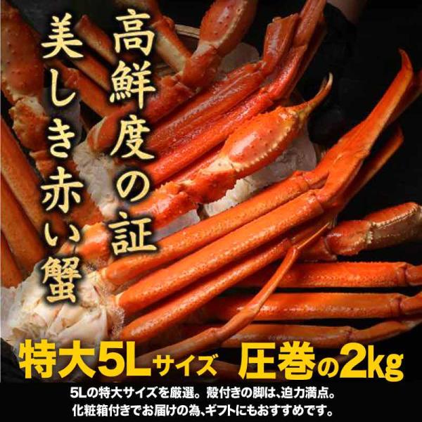 ギフト カニ 海鮮 かに 蟹 ボイル ズワイガニ 特大 4〜5L 約2kg(解凍前正味約1.6kg 約5〜6肩前後) 3~5人前 (化粧箱) 送料無料  グルメ /【Buyee】 Buyee - Japanese Proxy Service | Buy from Japan!