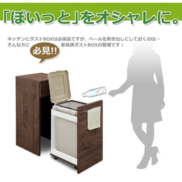 ゴミ箱 おしゃれ ダストボックスカウンター キッチンカウンター