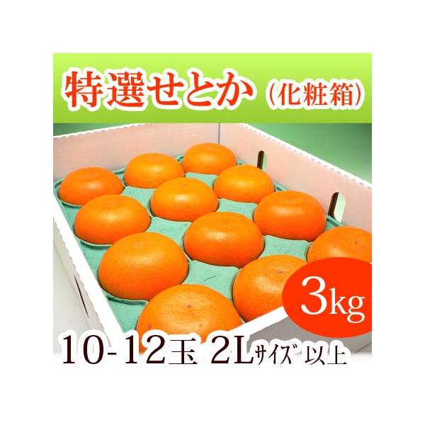 ハウス せとか 2L-3L (約3kg) 愛媛/佐賀産 秀品 贈答 ギフト せ