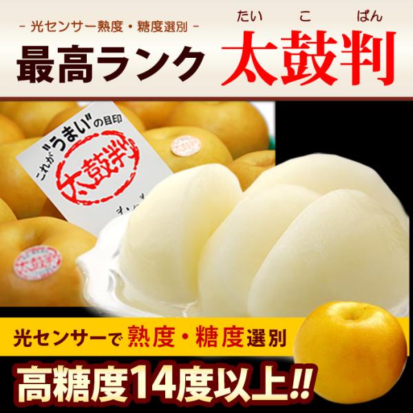 南水梨太鼓判10-14玉(約5kg) 長野産秀品なんすいたいこばん梨なしナシ