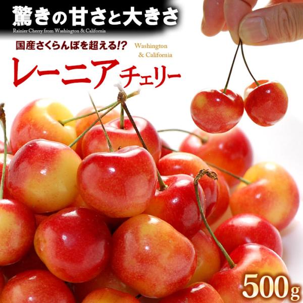特選品　レーニアチェリー「geewhiz」1キロ専用箱 特選品 レーニアチェリー「geewhiz」1キロ専用箱 - メルカリ